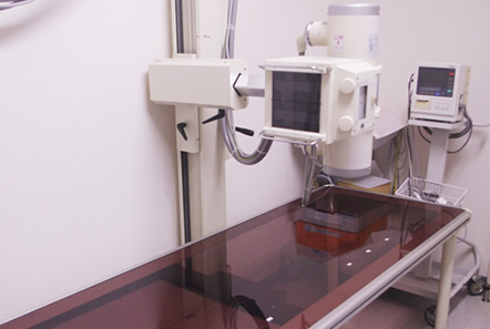 デジタルレントゲン撮影（X線診断装置）